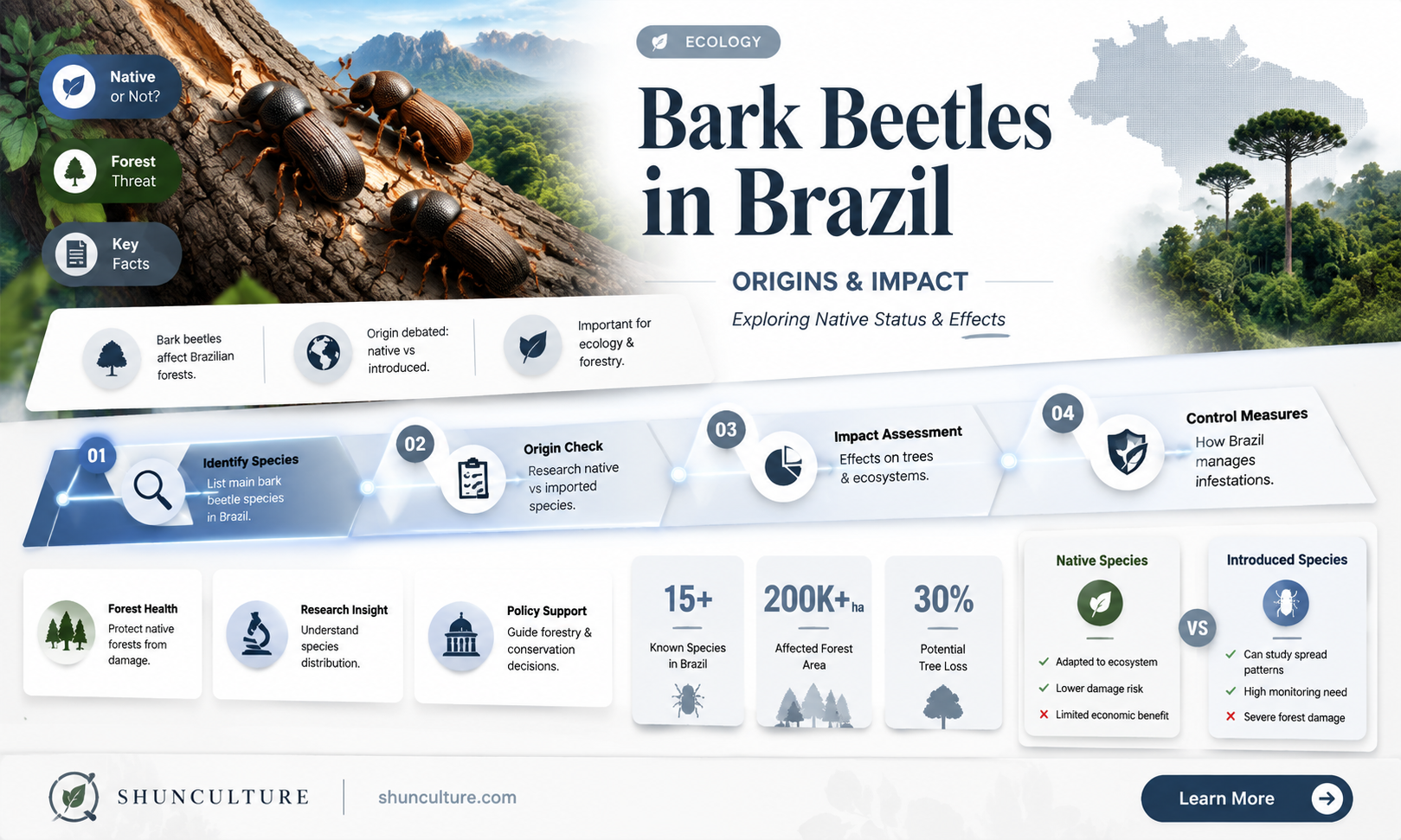 are bark beetles native to brazil