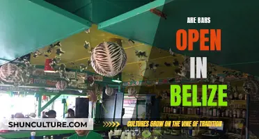 Belize Bars: Open or Closed?