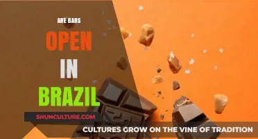 Are Bars Open in Brazil? Current Rules and Restrictions Explained