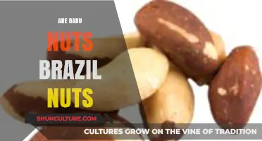 Are Baru Nuts the Same as Brazil Nuts? Unraveling the Confusion