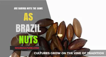Baruka Nuts vs. Brazil Nuts: Unraveling the Nutty Confusion