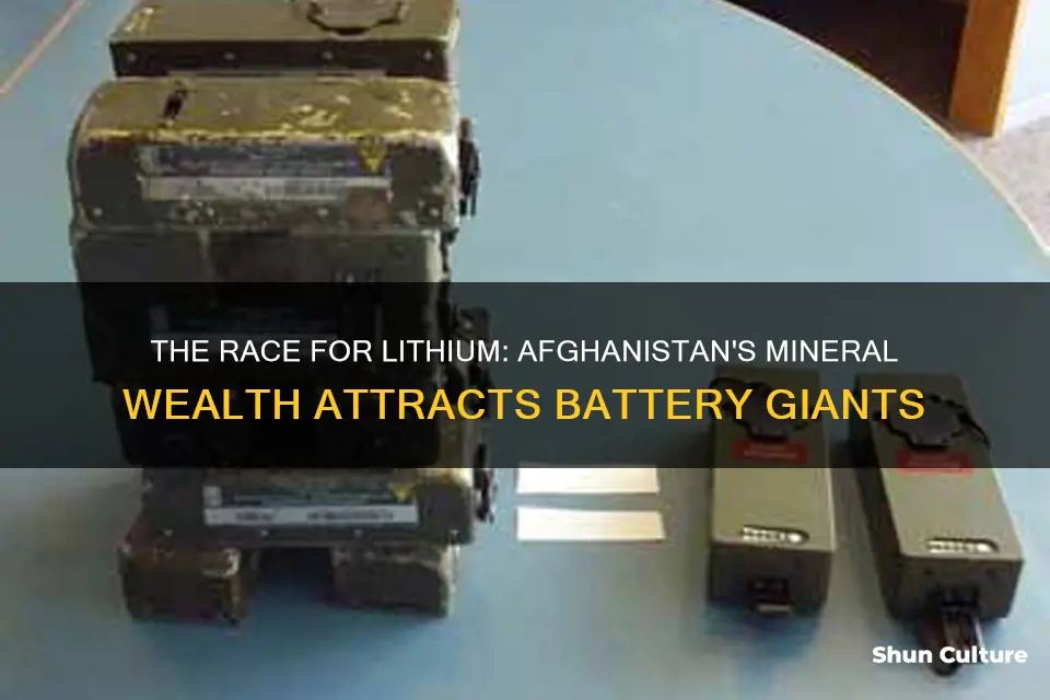 are battery companies investing in afghanistan