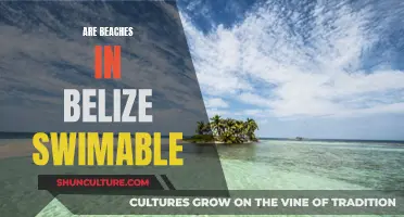 Swim-Friendly Belize: Beach Paradise Explored