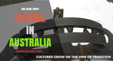 Are Bear Traps Illegal in Australia? Exploring Wildlife Protection Laws