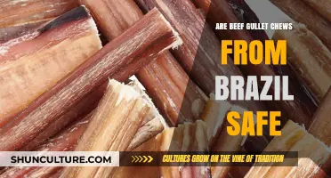 Are Brazilian Beef Gullet Chews Safe for Your Dog?