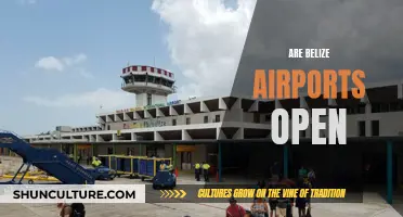 Belize Airports: Open for Business or Closed?