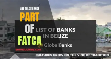 Belize Banks: FATCA Compliance and Its Impact