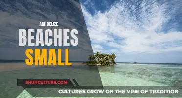 Belize's Beachfront: Small but Mighty