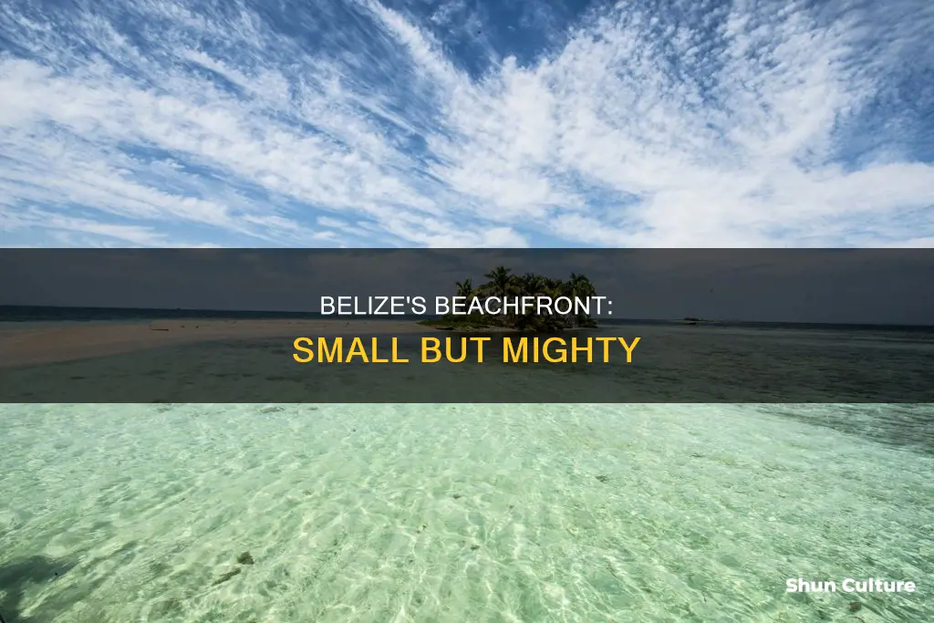 are belize beaches small