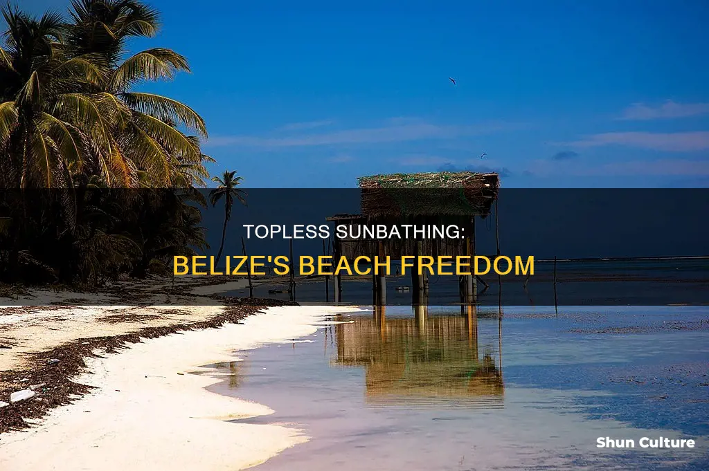 are belize beaches topless