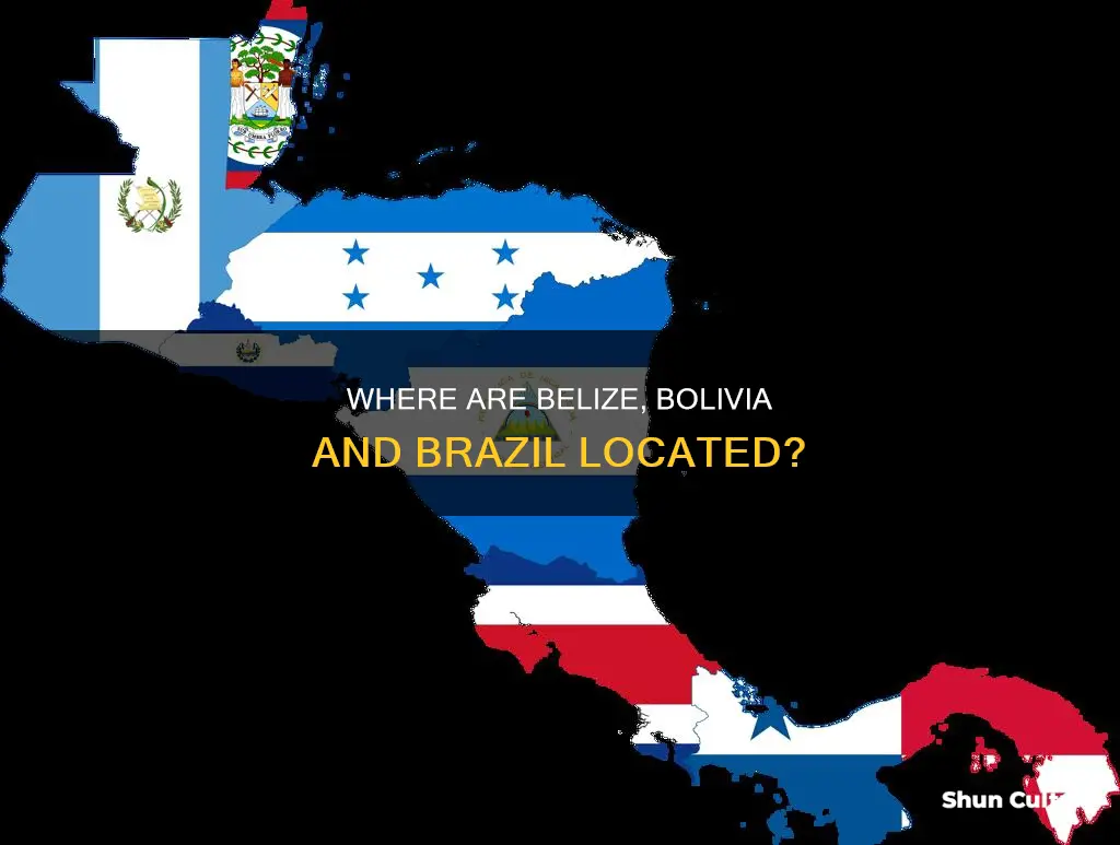 are belize bolivia brazil in central america