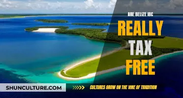 Belize IBC: Tax-Free or Tax Haven?