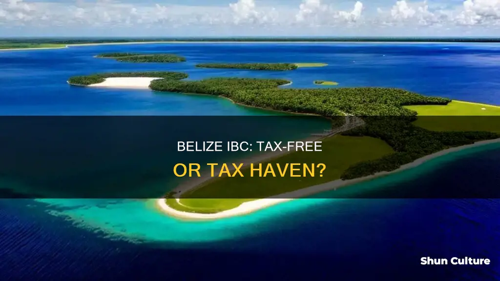 are belize ibc really tax free