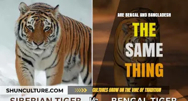 Bengal vs. Bangladesh: Unraveling the Differences and Historical Connections