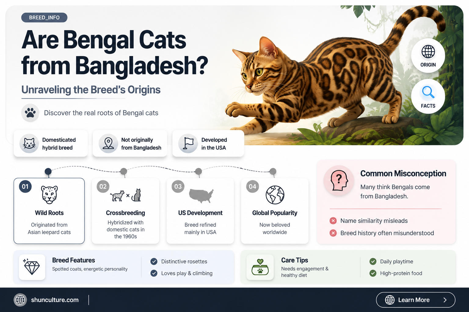 are bengal cats from bangladesh