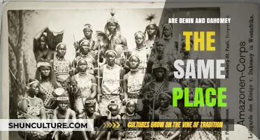 Exploring the Historical Connection: Benin and Dahomey's Shared Legacy
