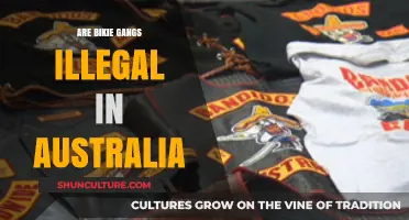 Are Bikie Gangs Illegal in Australia? Exploring Outlaw Motorcycle Clubs