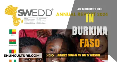 Exploring Burkina Faso's High Birth Rates: A Demographic Analysis