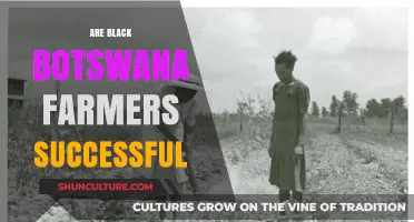 Black Botswana Farmers: Success Stories and Agricultural Achievements
