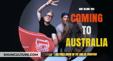 Blink-182's Australian Tour: When and Where?