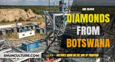Botswana's Diamond Industry: Uncovering the Truth About Blood Diamonds