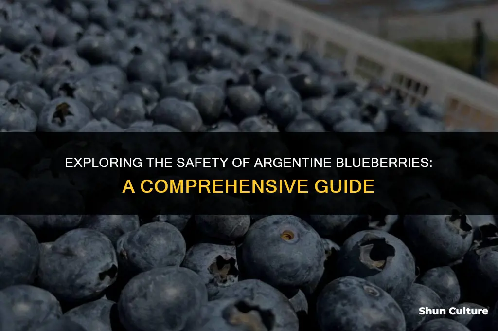 are blueberries from argentina safe