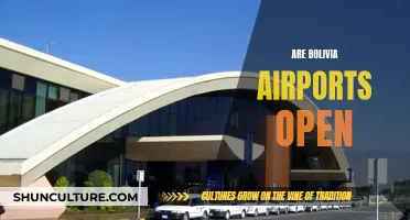 Bolivia Airports: Open or Closed?