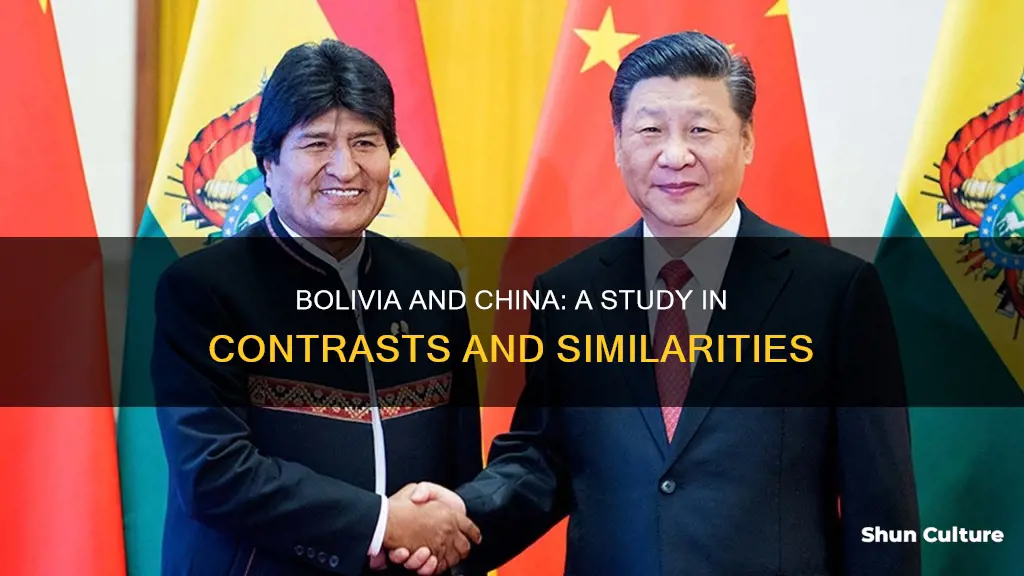 are bolivia and china the same thing