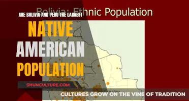 Native American Population: Bolivia and Peru's Rich Heritage