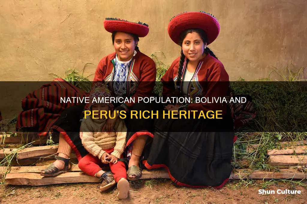 are bolivia and peru the largest native american population