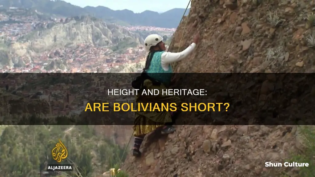 are bolivians short