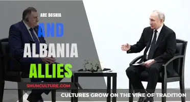 Bosnia and Albania: Allies or Independent Partners in the Balkans?