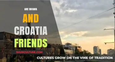 Bosnia and Croatia: A Complex Friendship Amidst Shared History and Challenges