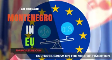 Bosnia and Montenegro's EU Membership Status: Current Affairs Explained
