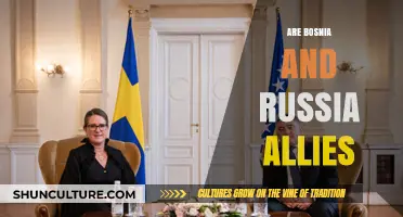 Bosnia and Russia: Unraveling the Complexities of Their Diplomatic Ties