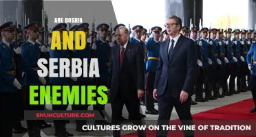 Bosnia and Serbia: Historical Tensions and Modern Relations Explored