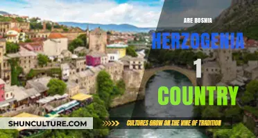 Is Bosnia and Herzegovina One Country? Unraveling the Truth
