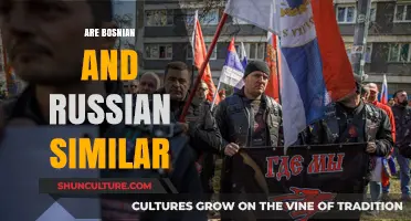 Bosnian vs. Russian: Exploring Linguistic Similarities and Cultural Connections