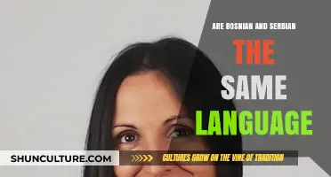 Bosnian vs. Serbian: Are They the Same Language or Different?