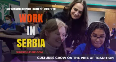 Bosnian Citizens' Work Eligibility in Serbia: Legal Insights and Requirements