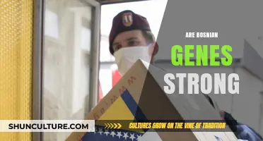 Exploring the Resilience and Strength of Bosnian Genetic Heritage