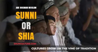 Understanding Bosnia's Muslim Identity: Sunni or Shia Dominance Explored