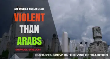 Comparing Bosnian Muslims and Arabs: Debunking Violence Stereotypes and Misconceptions