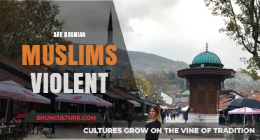 Debunking Stereotypes: Understanding Bosnian Muslims Beyond Violence Narratives