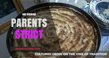 Are Bosnian Parents Strict? Exploring Parenting Styles and Cultural Influences