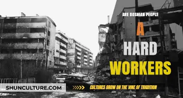 Bosnian Work Ethic: Exploring the Reputation of Hardworking People
