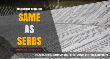 Are Bosnian Serbs and Serbs the Same? Exploring Cultural Identities