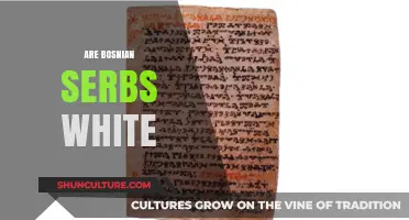 Are Bosnian Serbs Considered White? Exploring Identity and Ethnicity
