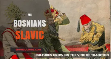 Are Bosnians Slavic? Unraveling the Ethnic and Cultural Identity