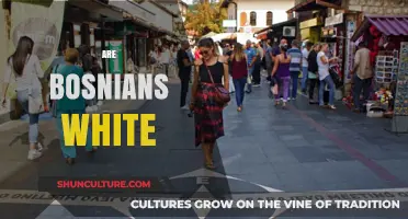Are Bosnians White? Exploring Identity, Ethnicity, and Cultural Perceptions